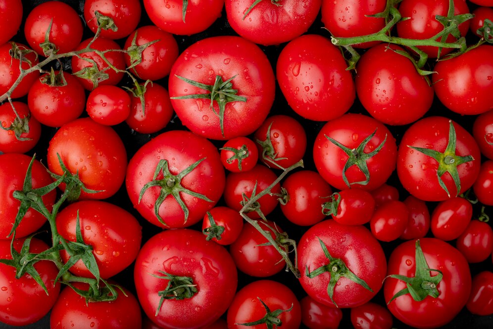 Tomate Fruta Ou Legume Ecoera